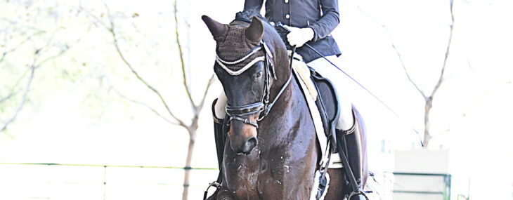 GSD 25 Furst William III 8274