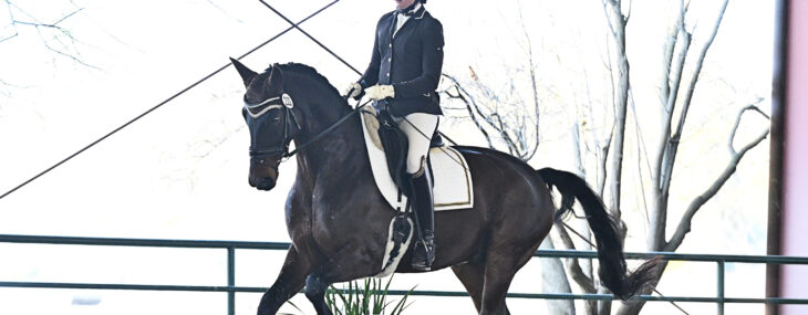 GSD 25 Furst William III 8319