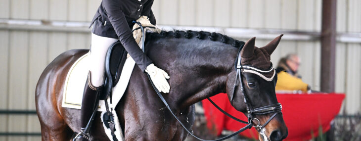 GSD 25 Furst William III 8338